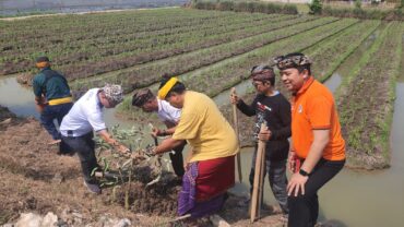 Prajaniti Akhiri Rangkaian Syukuran 58 Tahun dengan Gerakan Penanaman Pohon di PAJP Bekasi